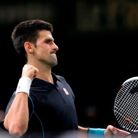 Tennis: Djokovic clinches Paris Masters title