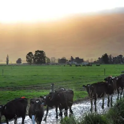 Fed Farmers praises 'new attitude'