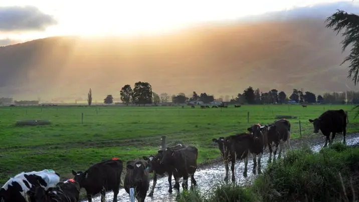 Fed Farmers praises 'new attitude'