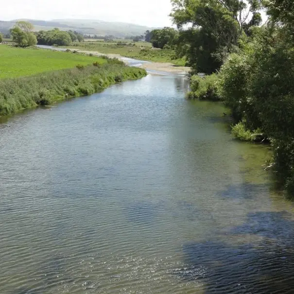 Warning over lower water standards