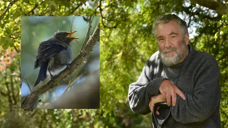 Peninsula possum cull makes a big difference