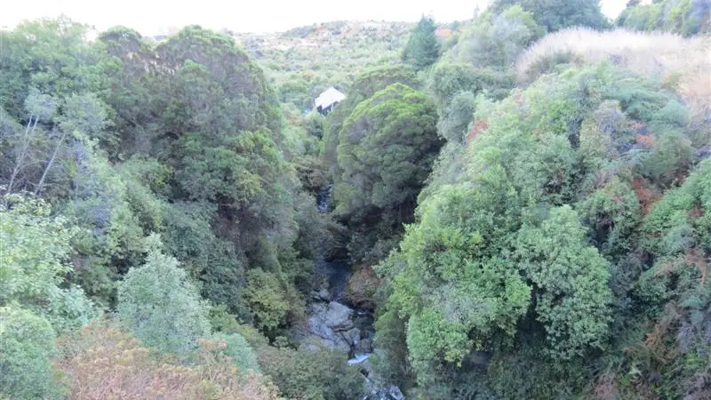 'Extremely lucky' to survive plunge