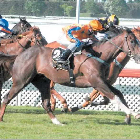 Owner has a racy tale to tell