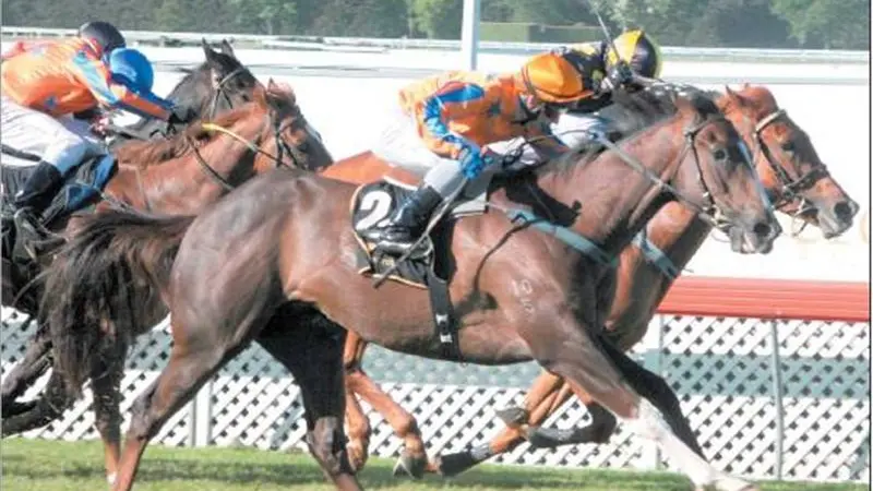 Owner has a racy tale to tell
