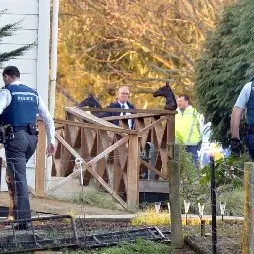 111 call after 'thump, thump' on roof