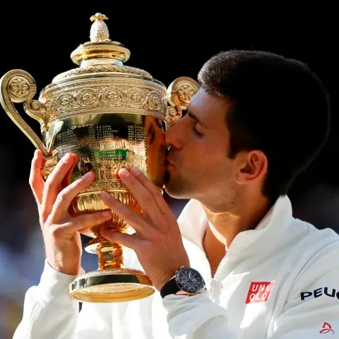 Tennis: Djokovic fells Federer in epic final