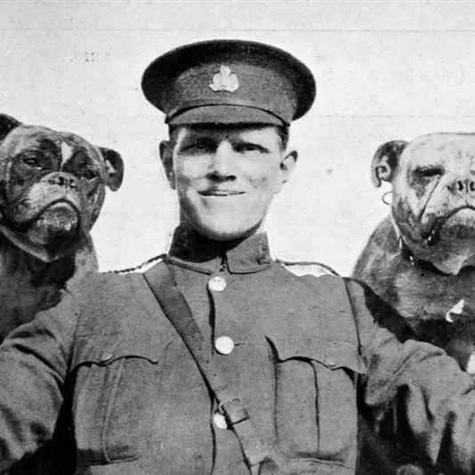 Otago infantry accompanied by bulldogs