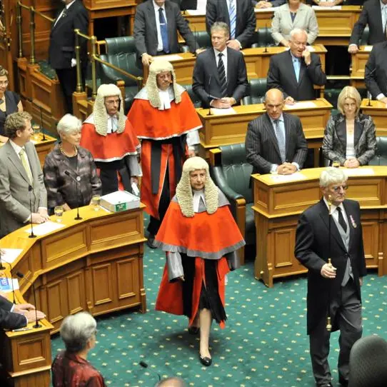 Two new Dunedin MPs swear allegiances