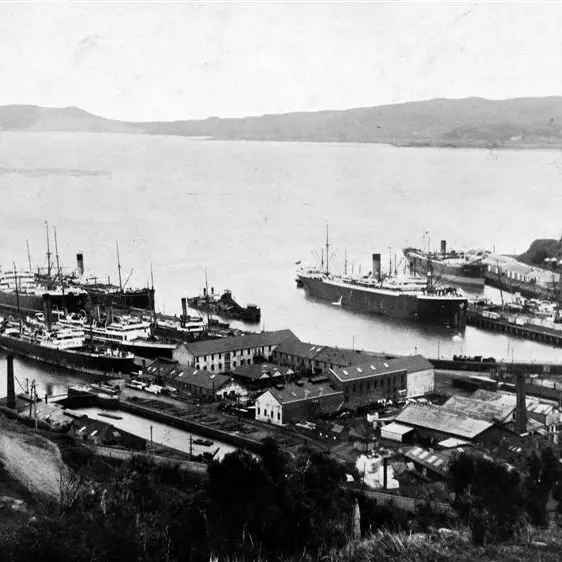 NZ troops rally for Expeditionary Force