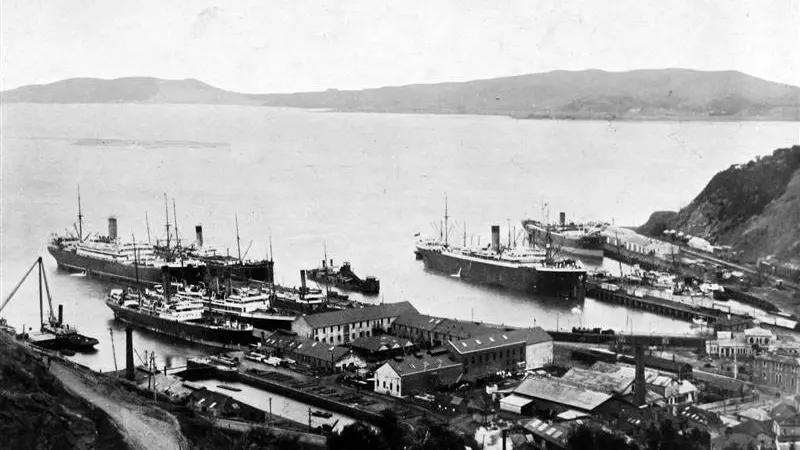 NZ troops rally for Expeditionary Force