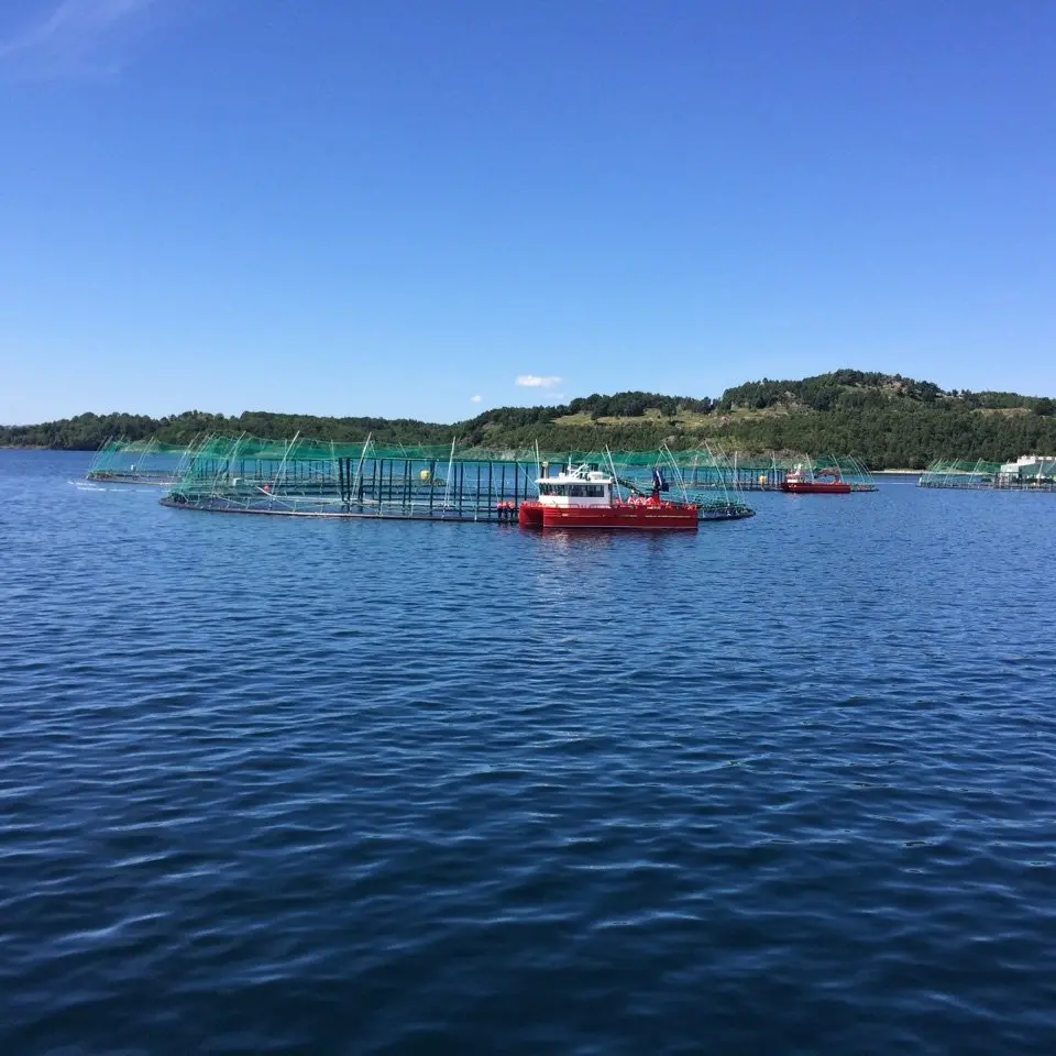 Southland's sea of opportunity