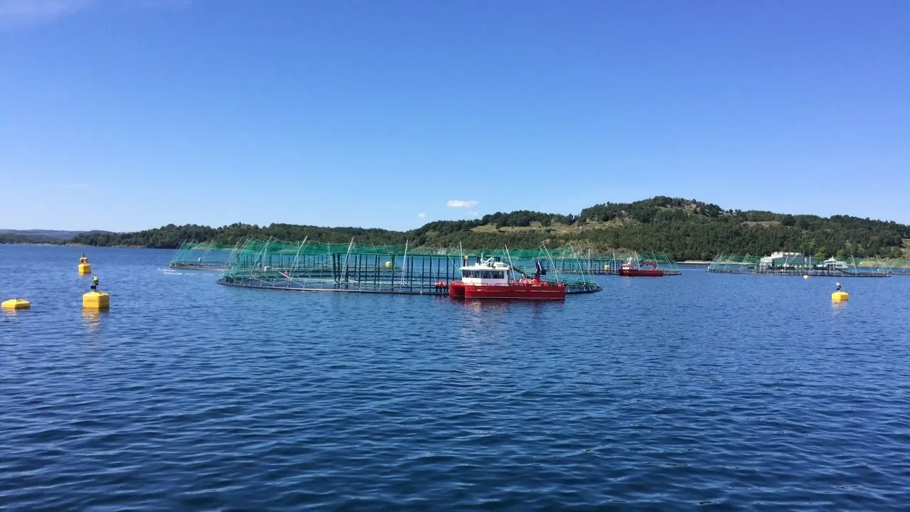 Southland's sea of opportunity