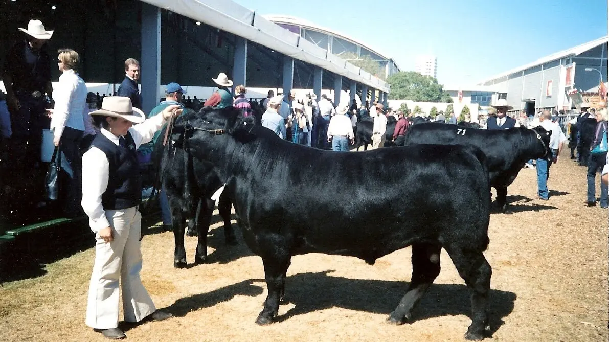 Work continuation of lifelong passion for beef