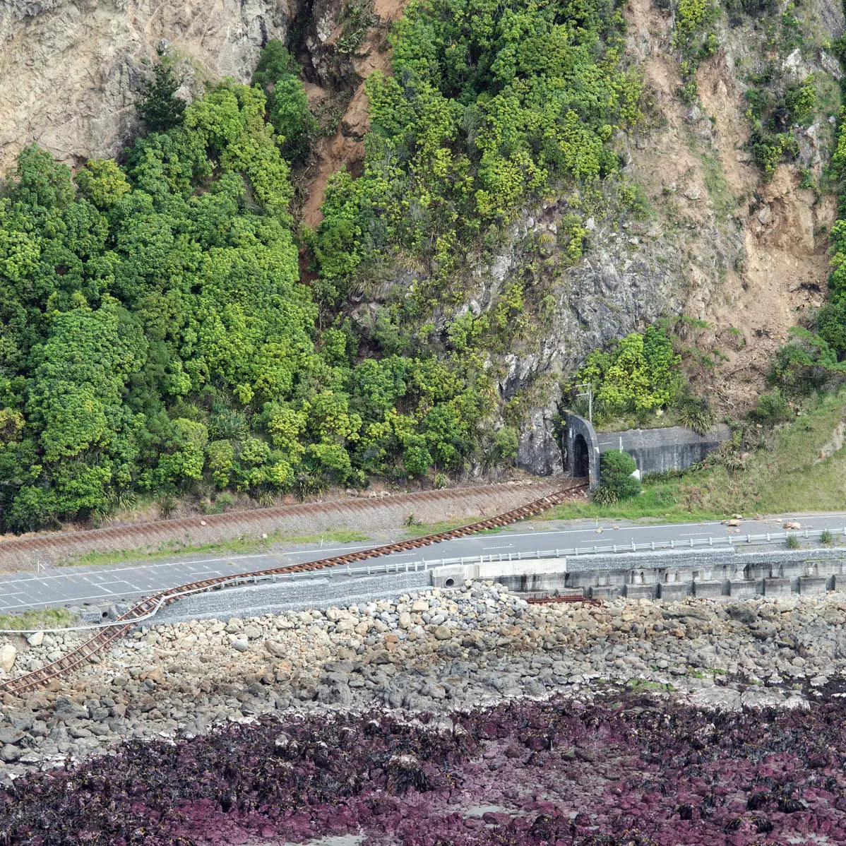 Emergency quake legislation on the way