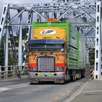 Bridges being strengthened to take heavier loads