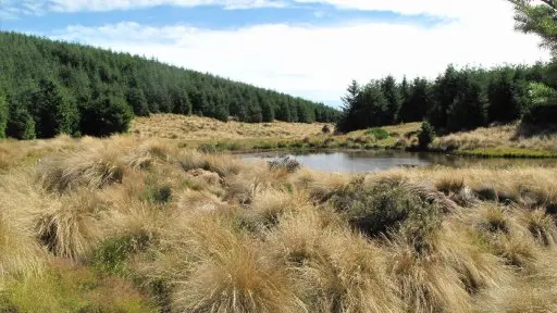 Spending drives GDP growth
