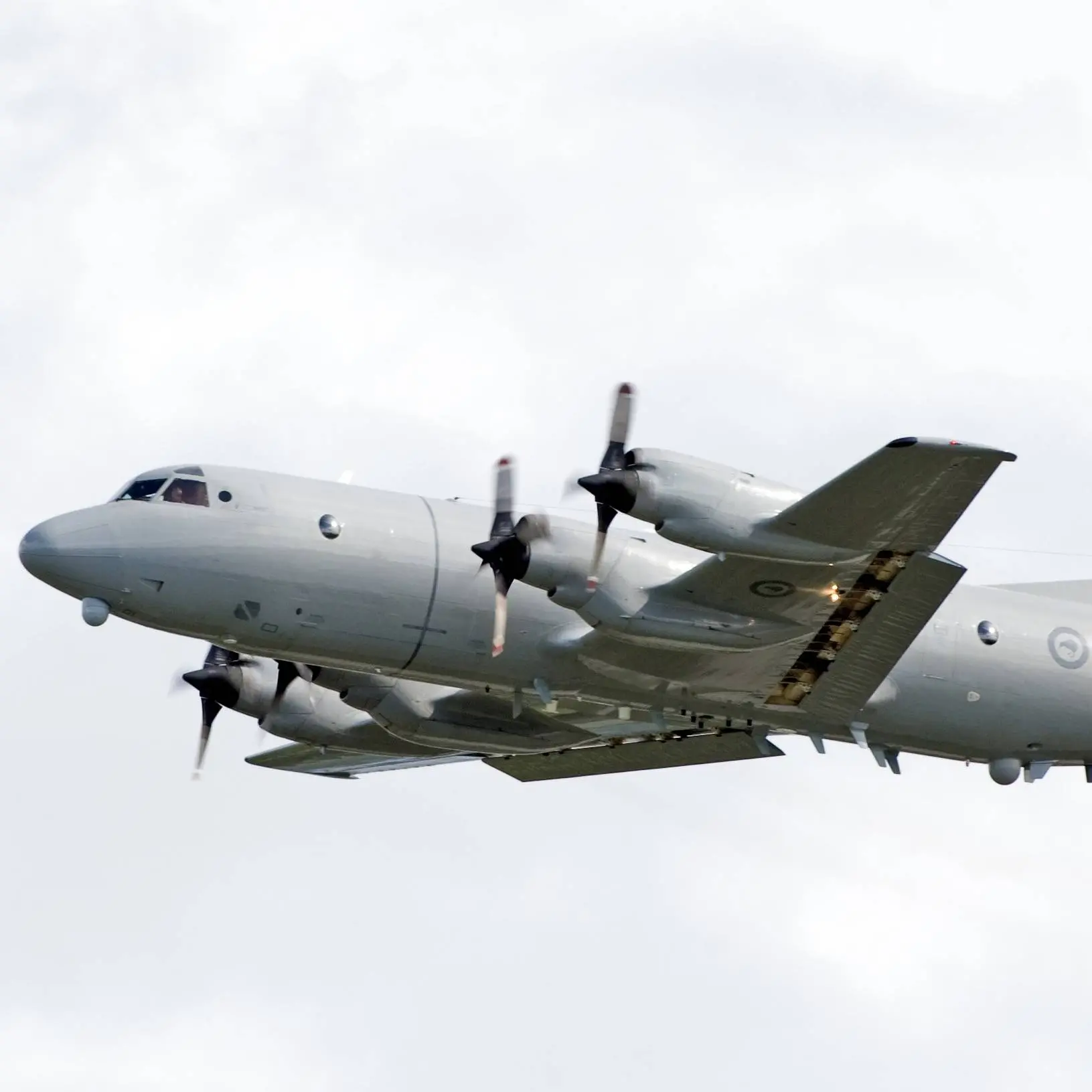 NZ search for missing ferry carrying 50 in Pacific
