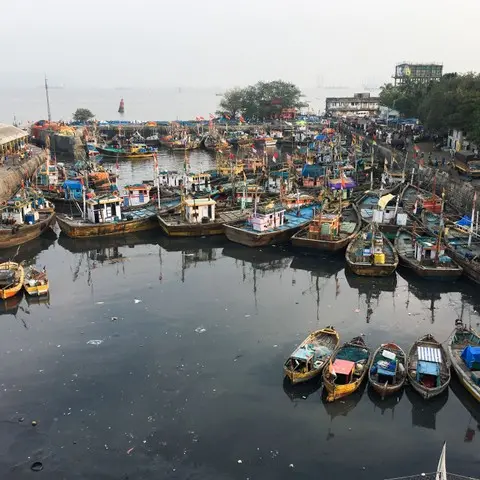 How a city's waterfront can be revived