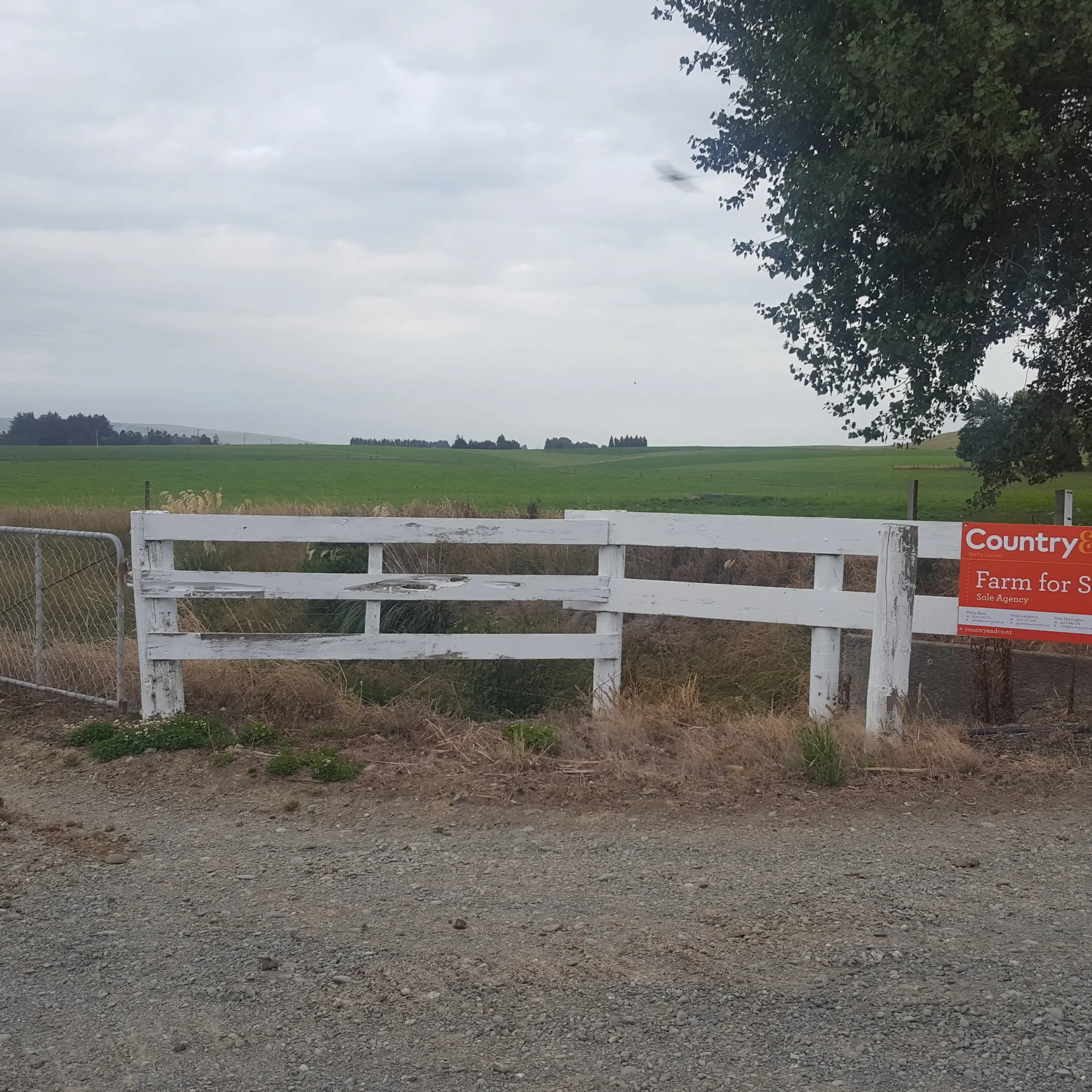 Increase in farm sales bucks trend