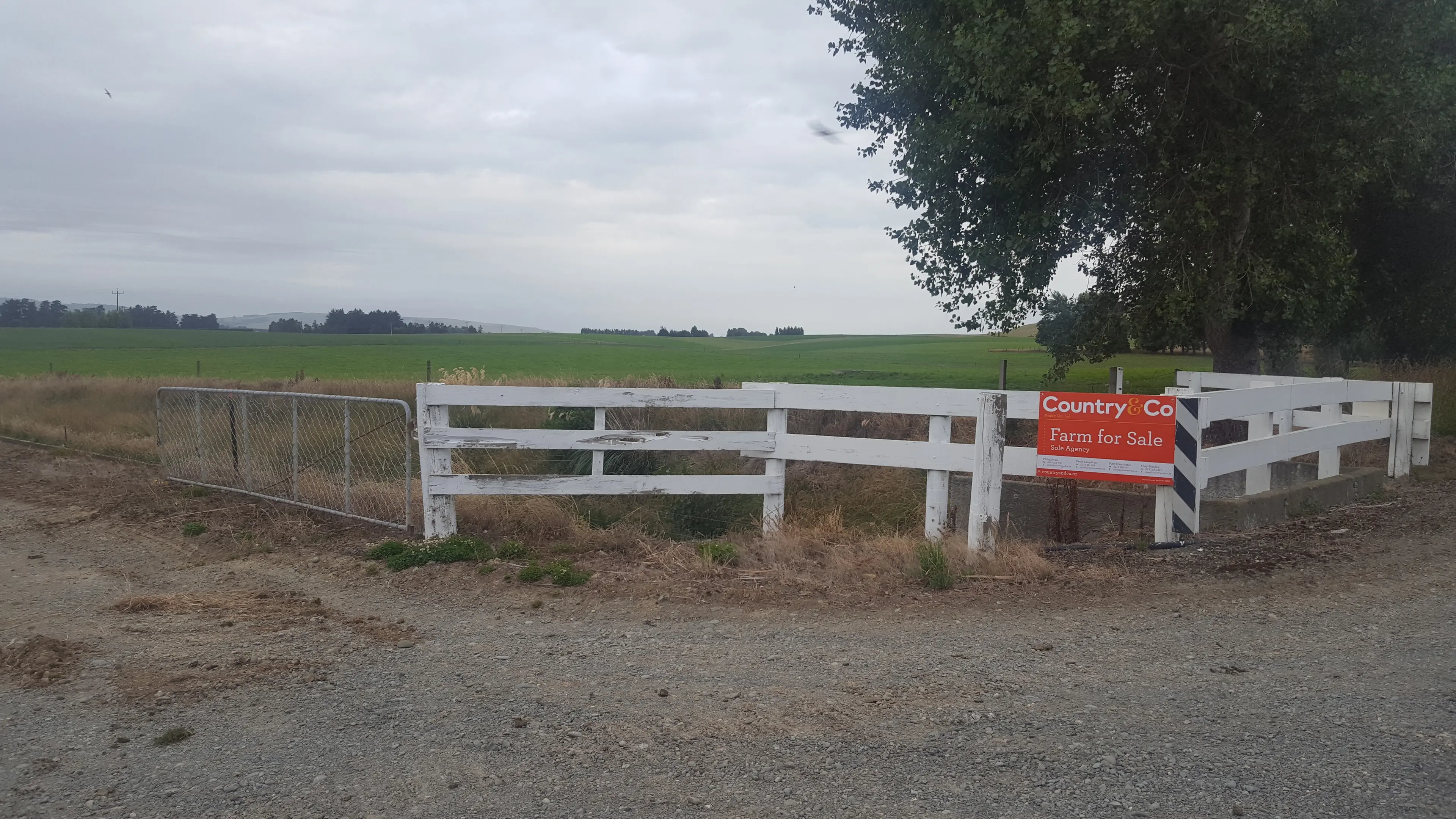 Increase in farm sales bucks trend