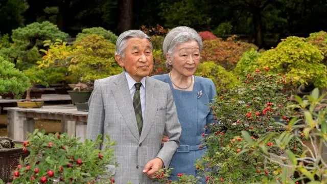 Japan's emperor to abdicate in 2019