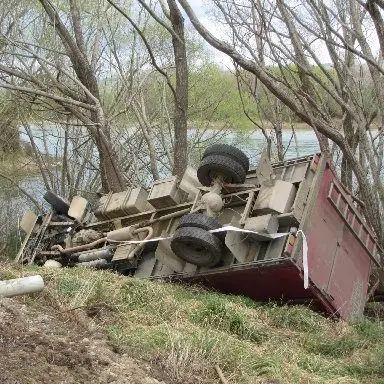 Driver, calves avoid injury in crash