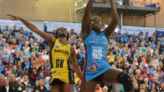 Netball: Steel finds good reason to celebrate