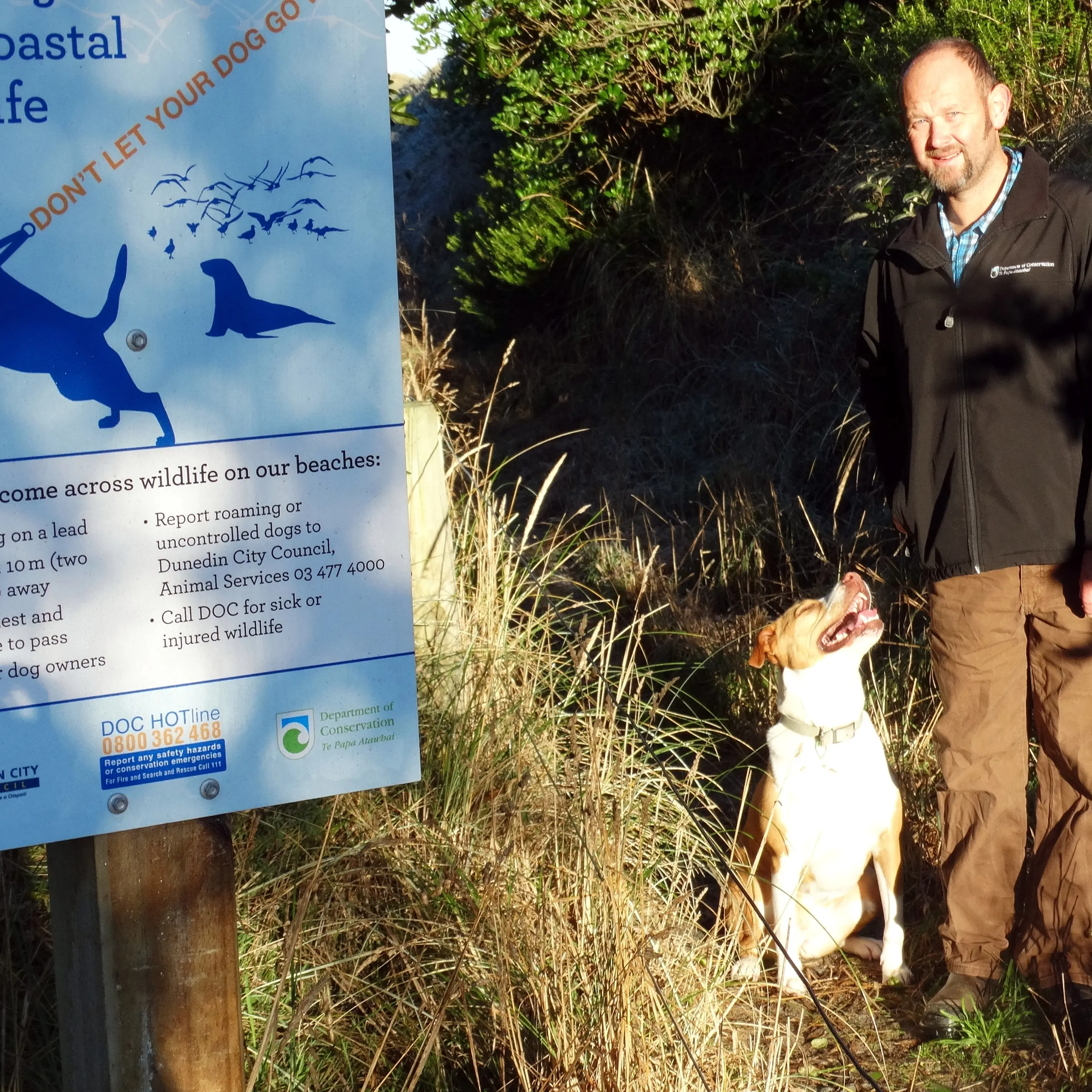 Signs reminder to dog owners
