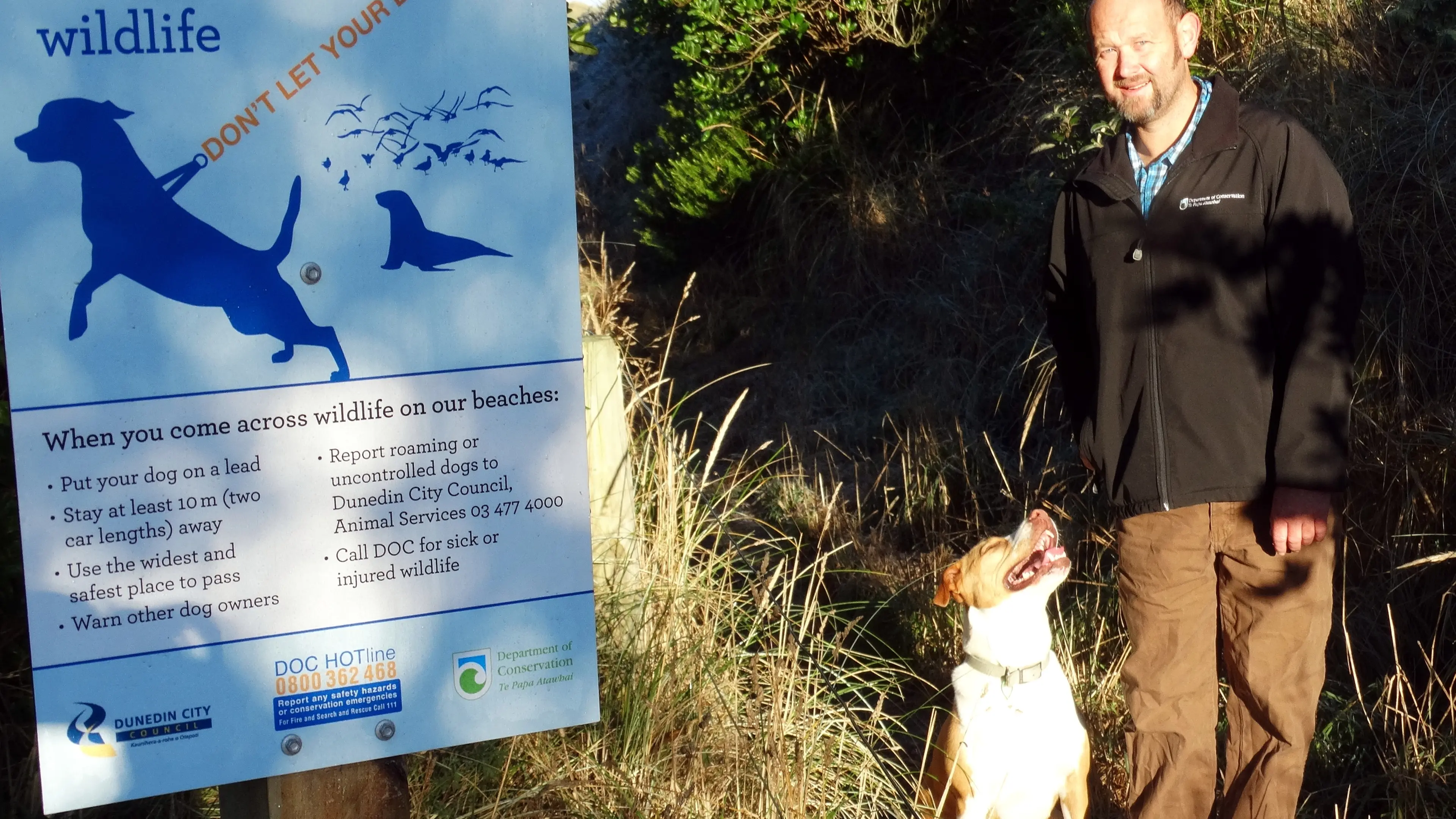 Signs reminder to dog owners