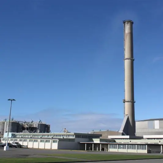 Decision on power for smelter