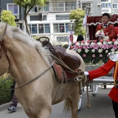 Chinese couple holds 'royal wedding' with horses