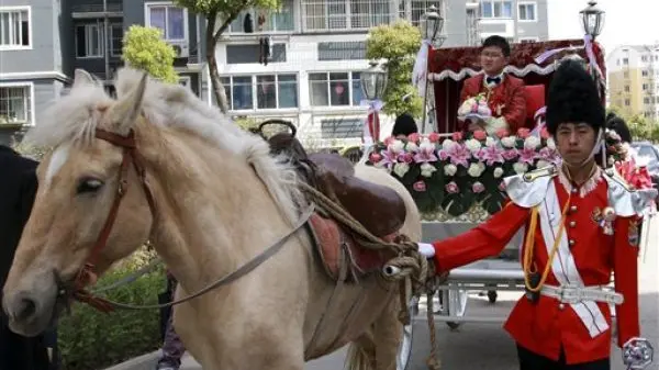 Chinese couple holds 'royal wedding' with horses