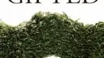 Novel blurs the line between fiction and history