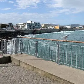 Tyre ramp proposed for safer access