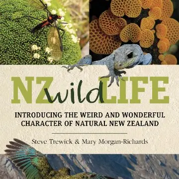 Focus on lesser-known natural history