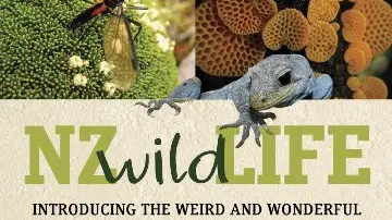 Focus on lesser-known natural history