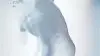 The Lonely Nude
