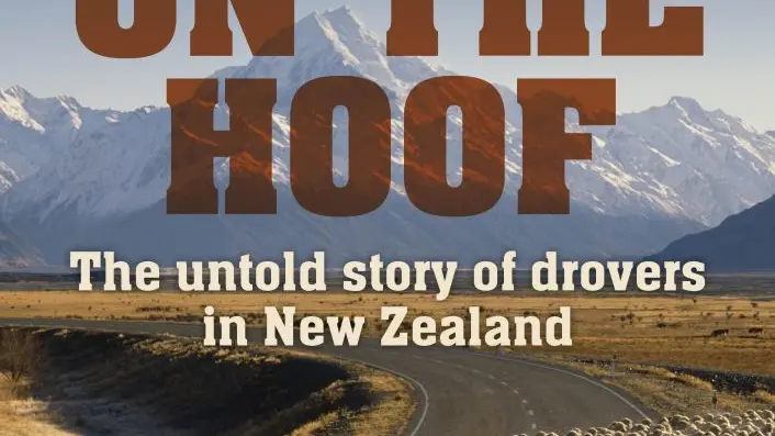 Spotlight on droving way of life