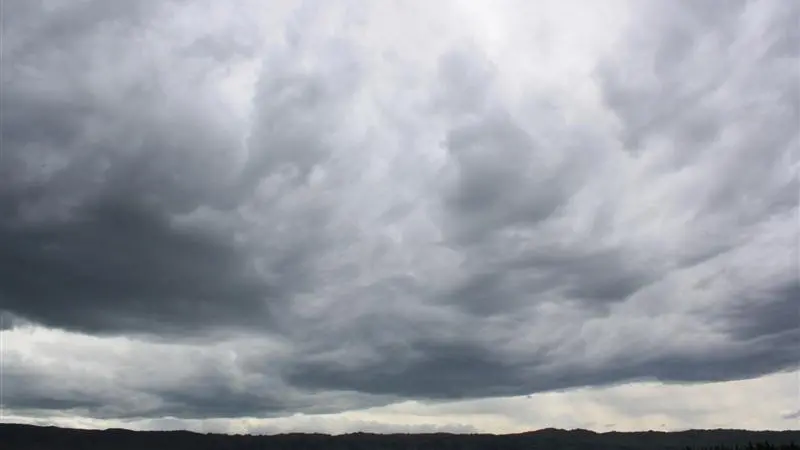 Blustery days ahead: meteorologist