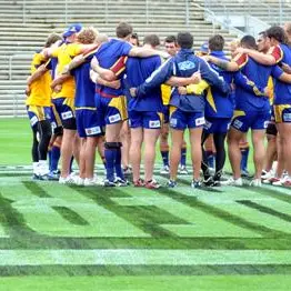 Rugby: Cowan glad to be back on field