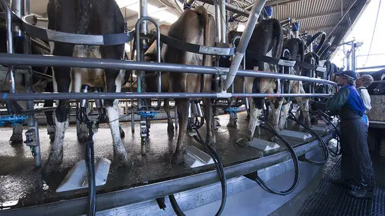 Farmers pool resources to keep milking