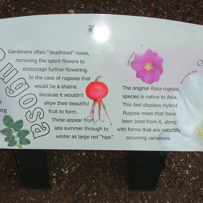 Information part of garden role
