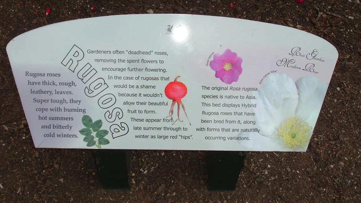 Information part of garden role