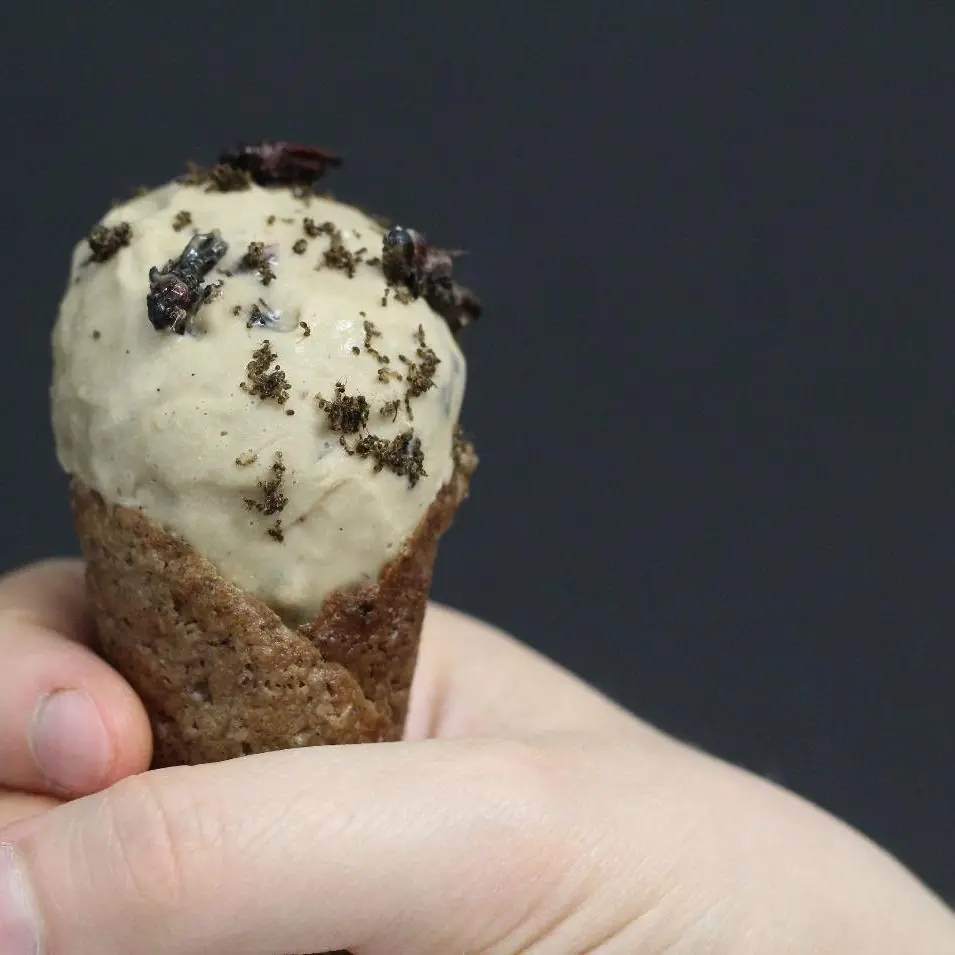 Coffee and caramel locust ice cream with cinnamon cricket cone