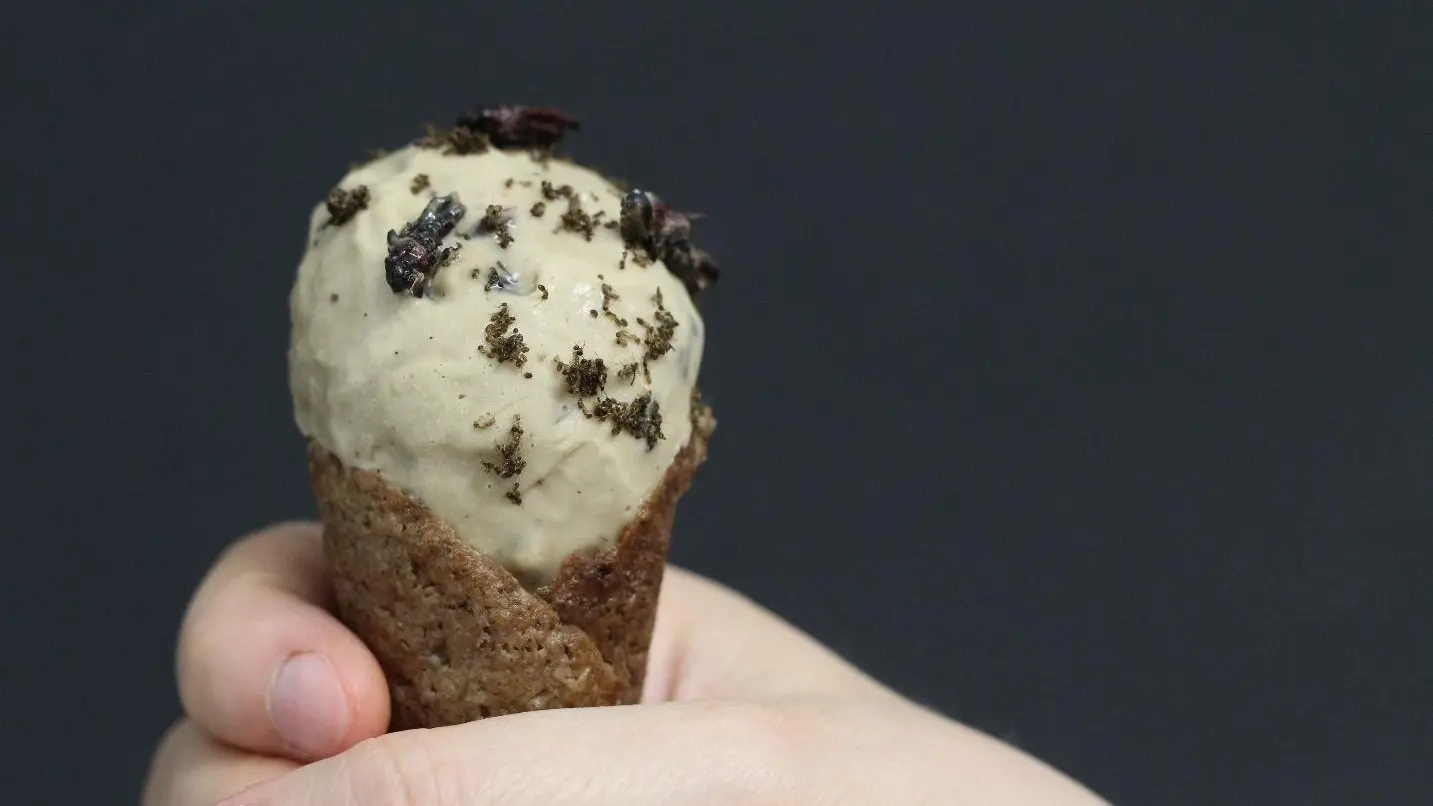 Coffee and caramel locust ice cream with cinnamon cricket cone
