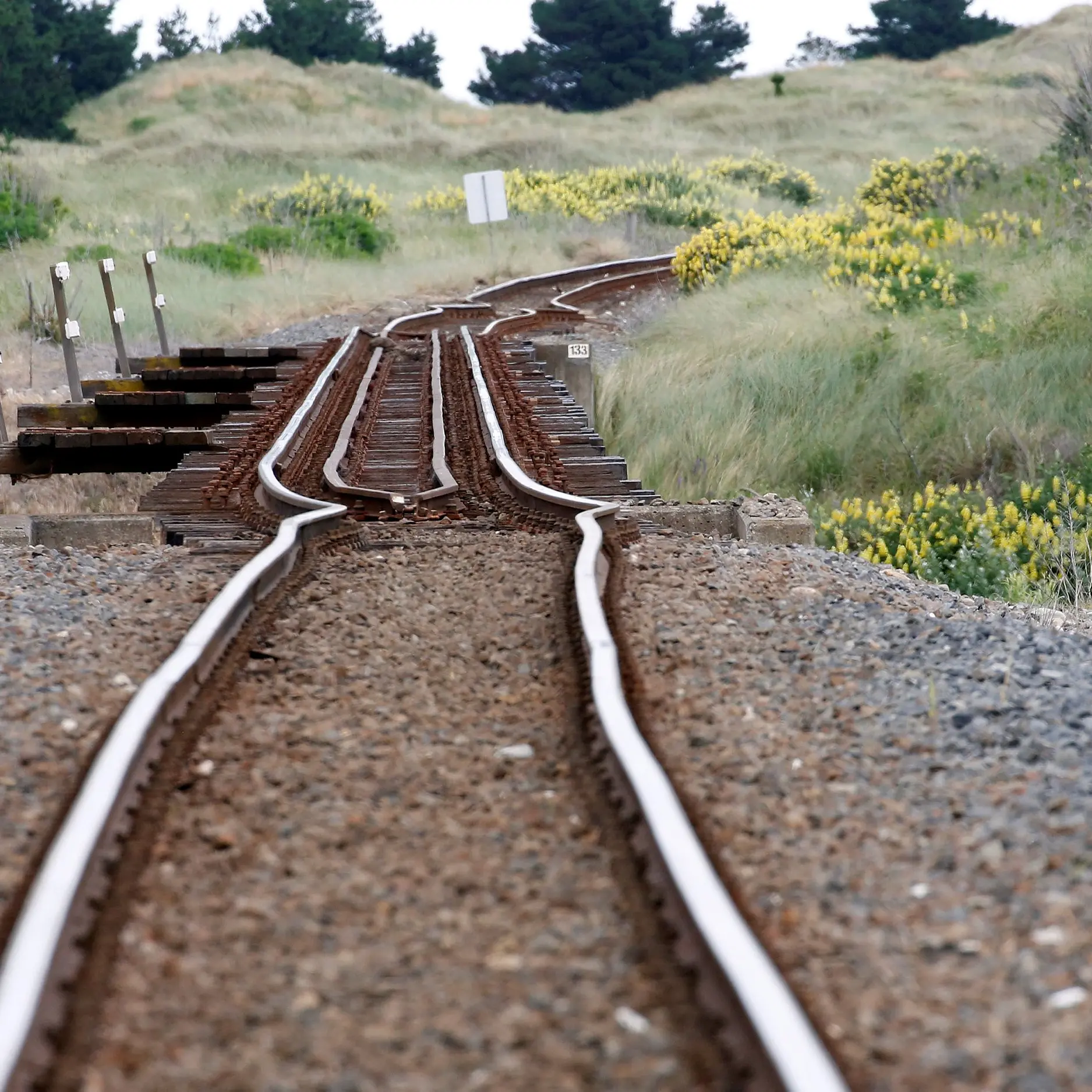 GPS data shows how quake warped NZ
