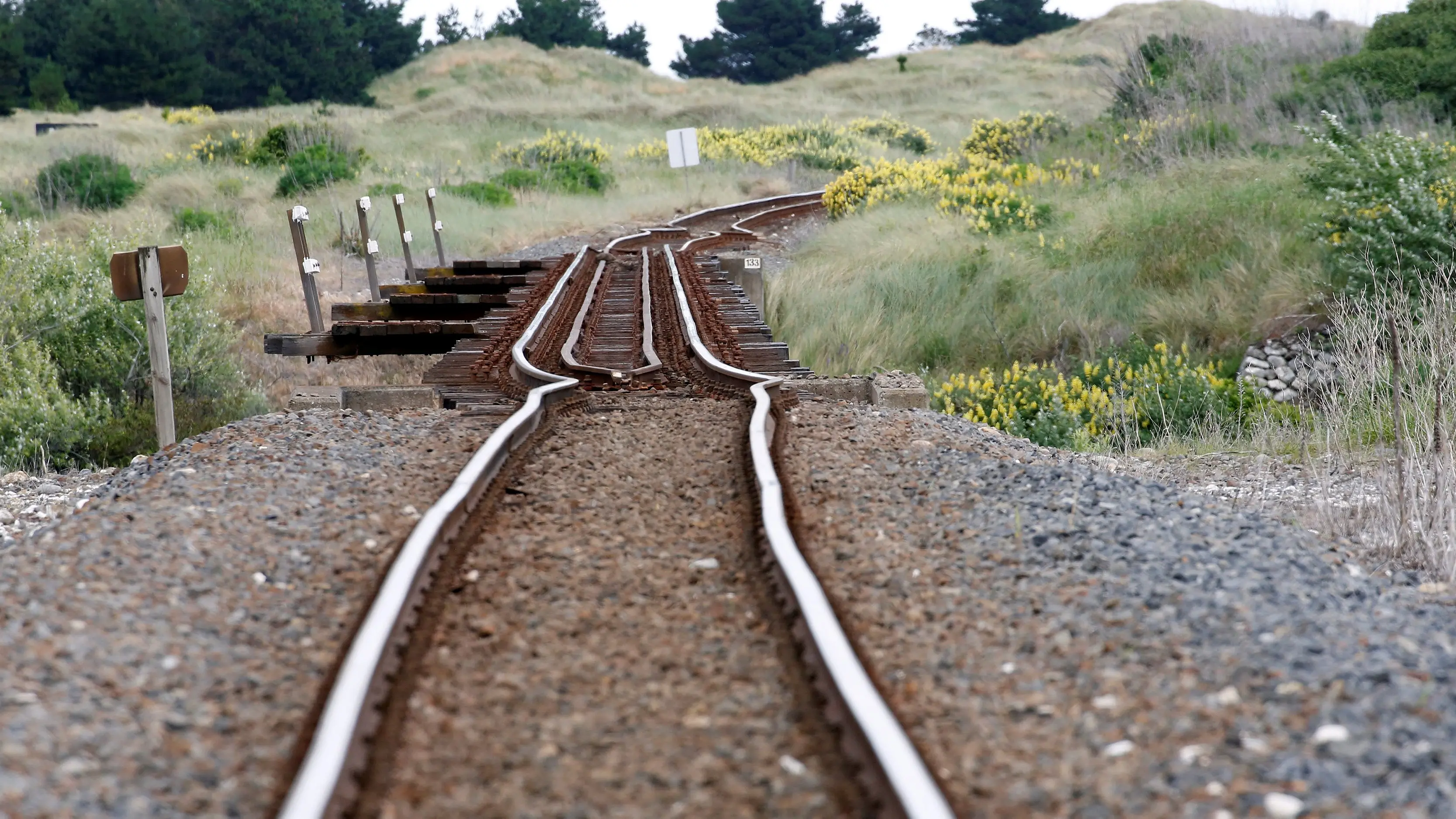 GPS data shows how quake warped NZ