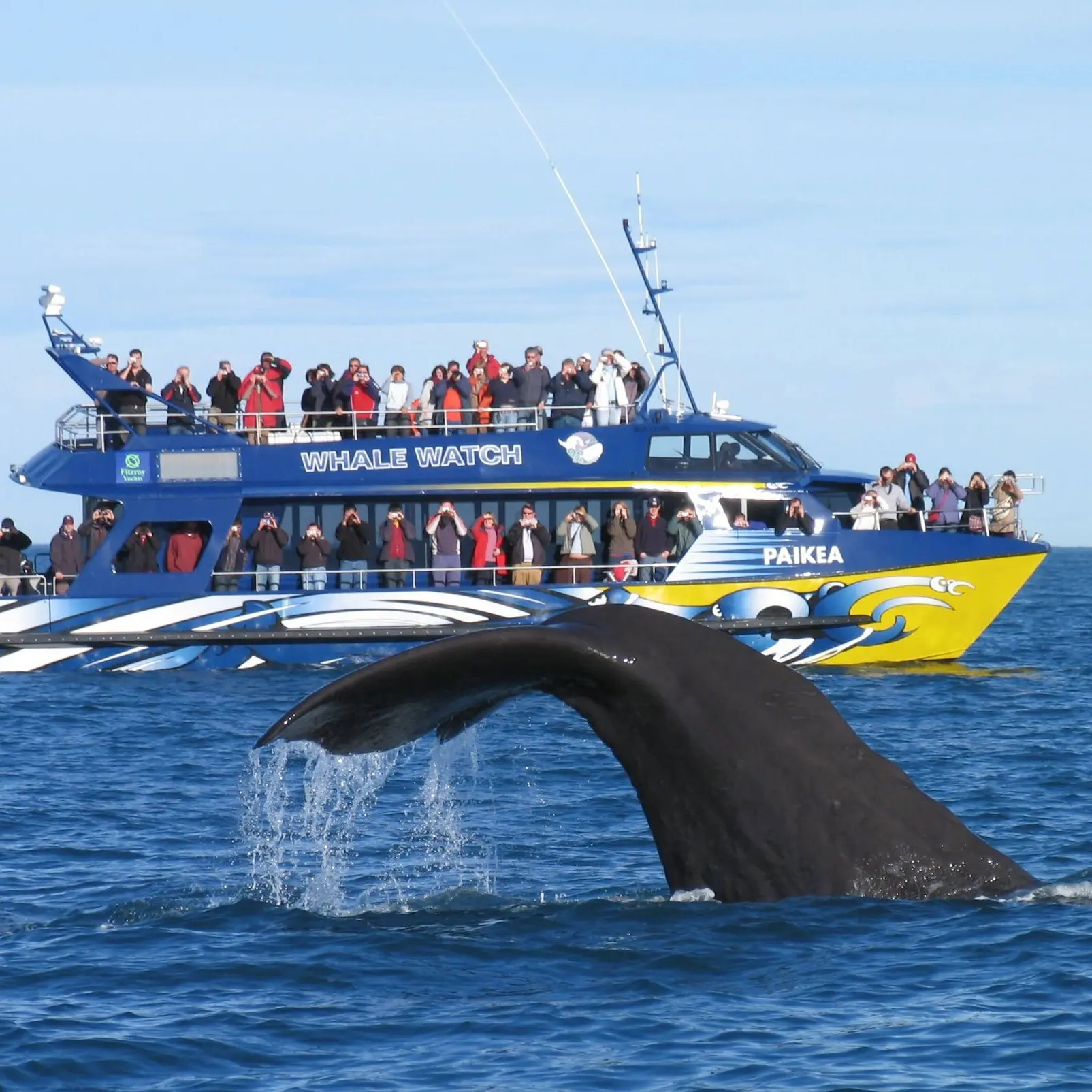 PM promises fast-track help for Kaikoura businesses