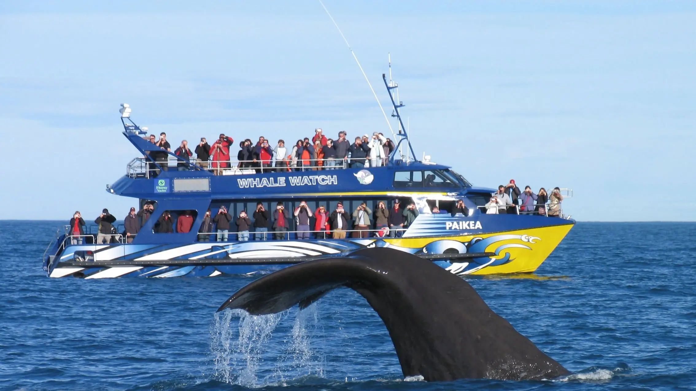 PM promises fast-track help for Kaikoura businesses