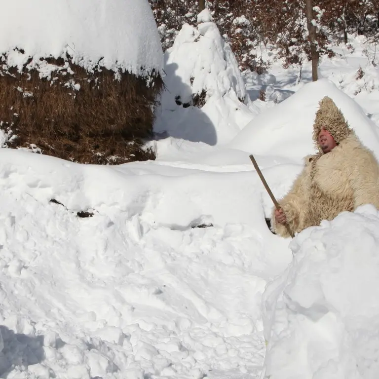 Severe cold claims more lives in Europe